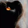 Gatos Neon - 4 Mov.1712 28