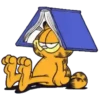 Garfield Mov 28