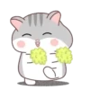 Hamster Cute     (Mov) 6