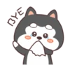 Cute Silly Dog 5