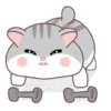 Hamster Cute     (Mov) 7