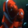 Papás De Disney Mov 5