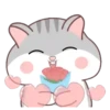 Hamster Cute     (Mov) 9