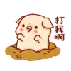 亮亮豬閃耀你的聊天室 5