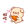 亮亮豬閃耀你的聊天室 6