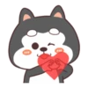 Cute Silly Dog 7