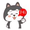 Cute Silly Dog 8
