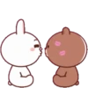 Brown Cony Love care 4 6