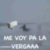 LO QUE EL VIENTO SE LLEVO 8