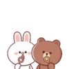 Brown Cony Love care 4 8