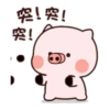 超萌豬豬兄弟的日常 8
