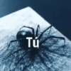 Tú 72
