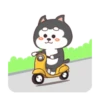 Cute Silly Dog 9