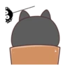 Cute Silly Dog 11