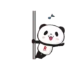 Panditas ( ⁩2 )Movi 11
