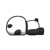 Panditas ( ⁩2 )Movi 12