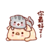 亮亮豬閃耀你的聊天室 10