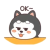 Cute Silly Dog 14