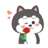 Cute Silly Dog 15