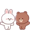 Brown Cony Love care 4 9