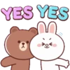 Brown Cony Love care 4 11