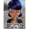 Ladybug 2  amor MOVI. 16