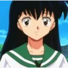 Inuyasha 14