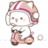 MOCHIS CAT Extra"O" MOV 14