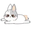 sweet RABBIT. mov 9