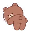 Brown Cony Love care 4 12