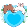 Brown Cony Love care 4 13