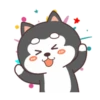 Cute Silly Dog 16