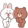 Brown Cony Love care 4 14