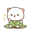 MOCHIS CAT Extra"O" MOV 15