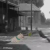 LO QUE EL VIENTO SE LLEVO 18