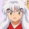Inuyasha 15