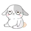 sweet RABBIT. mov 12