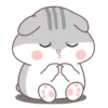 Hamster Cute     (Mov) 18