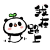 Cute Panda [Taiwan] 13