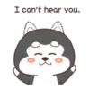Cute Silly Dog 18