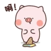 超萌豬豬兄弟的日常 13
