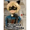 Ladybug 2  amor MOVI. 20