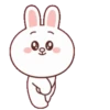 Brown Cony Love care 4 15