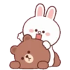 Brown Cony Love care 4 16