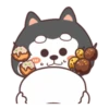 Cute Silly Dog 19