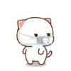 MOCHIS CAT Extra"O" MOV 20