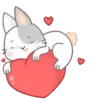sweet RABBIT. mov 15