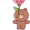 Brown Cony Love care 4 17