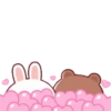 Brown Cony Love care 4 18