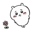 Chiikawa 20